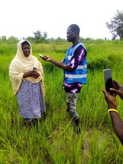 Lamin S Conteh