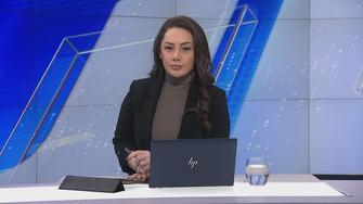 Niloofar Molaie